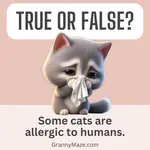 Some cats are allergic to humans. True or False? @grannymaze