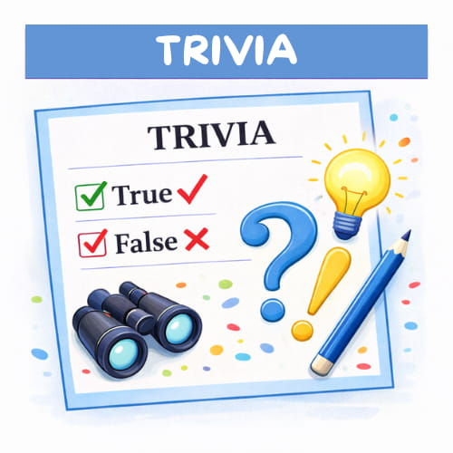 Browse trivia games for seniors including fun quiz and true or false printable activities.