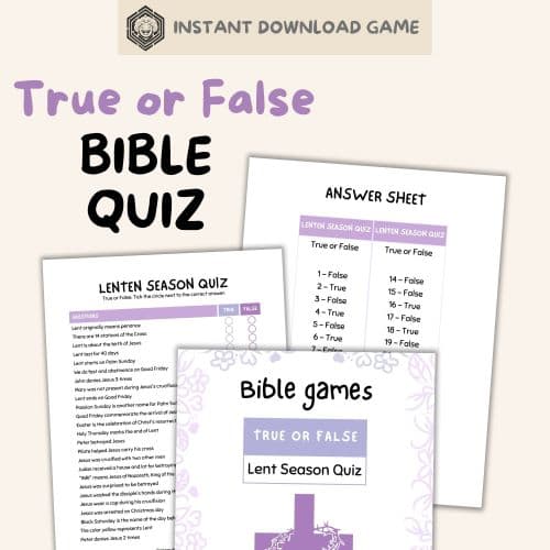 True or False Bible Games: Look Inside