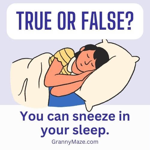 True or False: You Can Sneeze in Your Sleep. Click for the answer below.