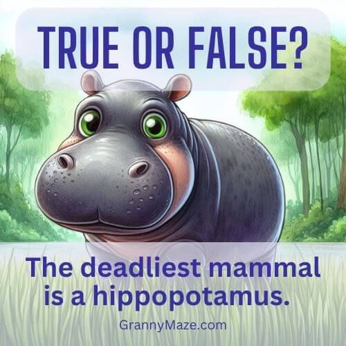 The deadliest mammal is a hippopotamus - True or False?