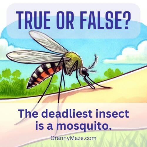 The deadliest insect is a mosquito - True or False?